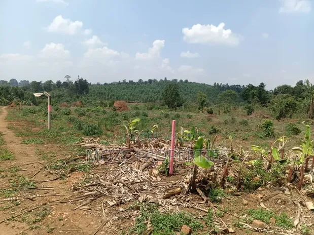 Namugongo Bukerere 50x100 Plots for Sale - 1