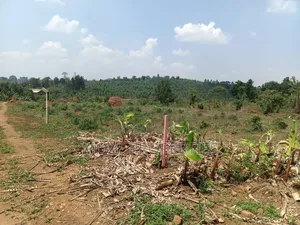 Namugongo Bukerere 50x100 Plots for Sale