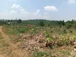 Namugongo Bukerere 50x100 Plots for Sale - 1