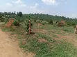 Namugongo Bukerere 50x100 Plots for Sale - 3
