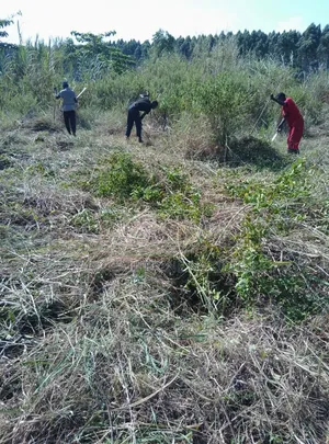 Farm Setup and Land Clearance Services