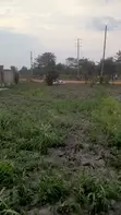 50x100 Plot for Sale in Kabubu, Gayaza - 1