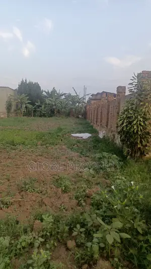 Plot for Sale in Nakasajja, Off Gayaza Road