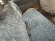 Toyota Ipsum 1999 Gray - 5