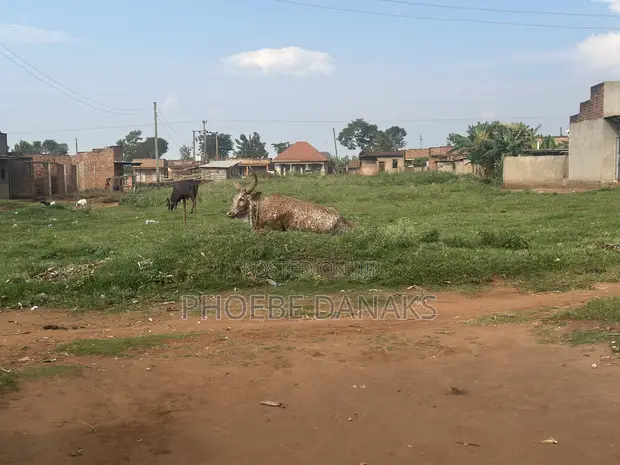 1 Acre Land for Sale in Kayunga Kyelima on Mainroad - 1