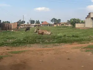 1 Acre Land for Sale in Kayunga Kyelima on Mainroad