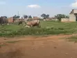 1 Acre Land for Sale in Kayunga Kyelima on Mainroad - 2