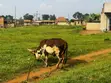 1 Acre Land for Sale in Kayunga Kyelima on Mainroad - 3