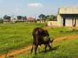 1 Acre Land for Sale in Kayunga Kyelima on Mainroad - 5