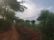 24 Decimals Land for Sale in Mpelerwe Bamba - 2