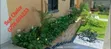 Compound Design & Landscaping Services - 2
