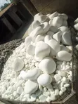Garden Decorative Pebbles & Gravel Stones - 1