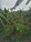 OrgaBoost Pro Organic Fertilizer - 5