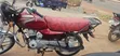 Bajaj Boxer 2025 Red - 5