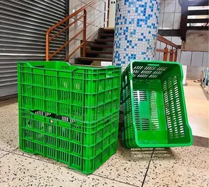 Plastic Mesh Crate / Vegetable Crate - Green