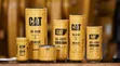 Cat Oil and Fuel Filter Kit (1R-0716, 1R-0749) - 1