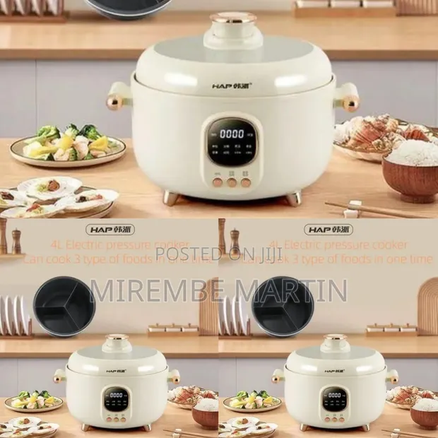Brand New Lec Multi-Functional Electric Cooker - 1