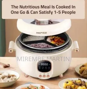 Brand New Lec Multi-Functional Electric Cooker