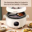 Brand New Lec Multi-Functional Electric Cooker - 2