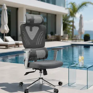 Ergonomic Lumbar Back Support Office Chair - Brand New