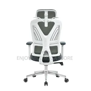 Ergonomic Orthopedic Office Chair - Brand New