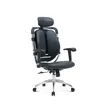 Executive Orthopedic Office Chair with Back Support - 1