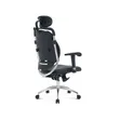 Executive Orthopedic Office Chair with Back Support - 2