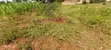 5 Decimals Plot of Land in Kyanja-Kungu for UGX 98M - 3