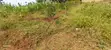 5 Decimals Plot of Land in Kyanja-Kungu for UGX 98M - 5