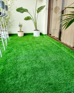Vertical Outdoor Grass Carpet Per Square Meter