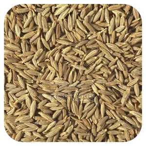 Cumin Seeds/Powder - 500g