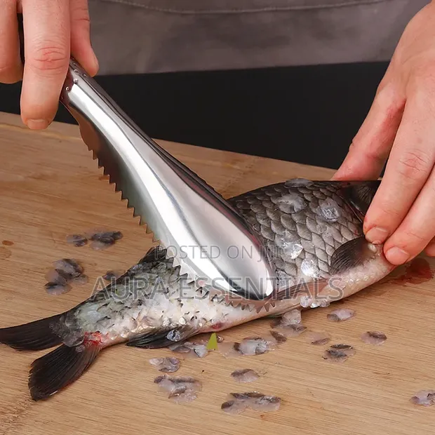 Stainless Steel Fish Scale Scraper - 1
