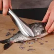Stainless Steel Fish Scale Scraper - 1