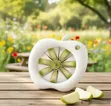 Brand New Apple Slicer - 2