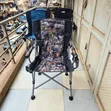 Basic Foldable Chairs (Set of 4) - 2
