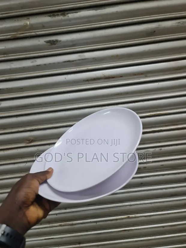 General Melamine Dinner Plates - 12 Pieces - 1