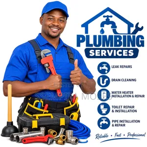 Moses AquaFlow Plumbing Services