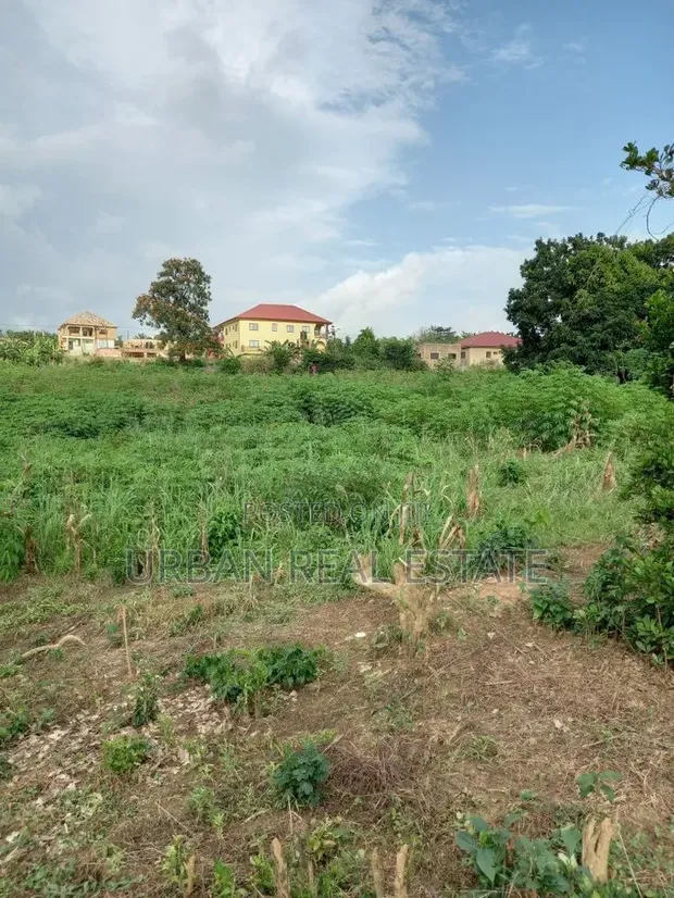Residential Land for Sale in Mpelerwe - 1