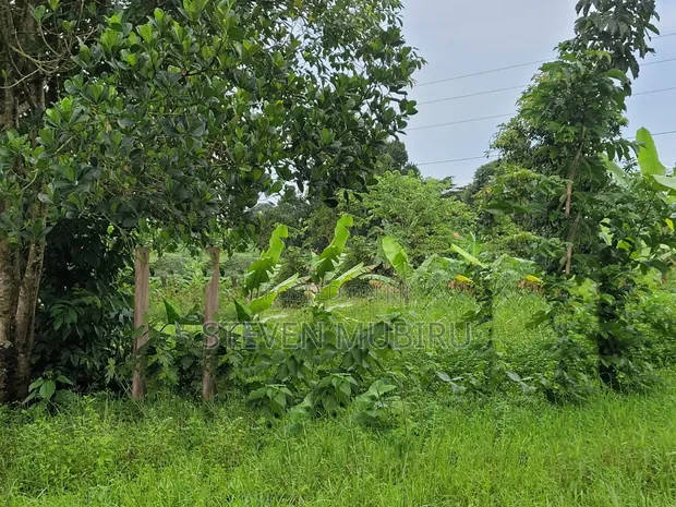 Busiika Land for Sale - 100x100 Plot - 1