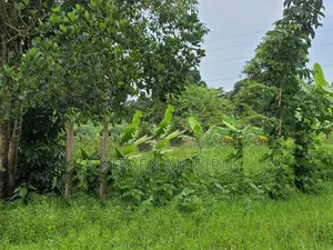 Busiika Land for Sale - 100x100 Plot