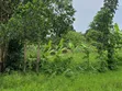 Busiika Land for Sale - 100x100 Plot - 1