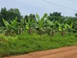 Busiika Land for Sale - 100x100 Plot - 2
