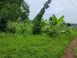 Busiika Land for Sale - 100x100 Plot - 3