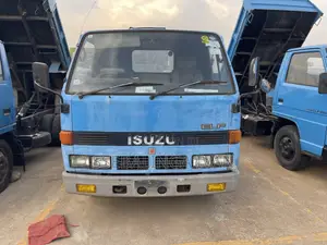 Isuzu Elf Dumper Truck