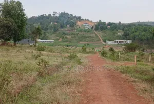 Prime Plots for Sale at Balita Divine Estate, Gayaza Road