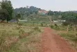 Prime Plots for Sale at Balita Divine Estate, Gayaza Road - 1