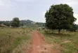 Prime Plots for Sale at Balita Divine Estate, Gayaza Road - 5