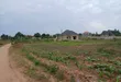 Prime Plots for Sale at Gayaza~Kiwenda Luunga Divine Estate - 2