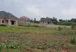 Prime Plots for Sale at Gayaza~Kiwenda Luunga Divine Estate - 3