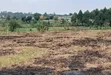 Prime Plots for Sale at Gayaza~Kiwenda Luunga Divine Estate - 4